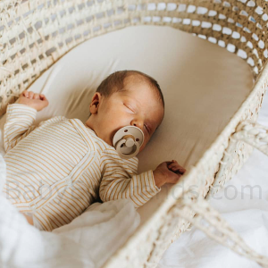 Co sleeping moses basket best sale